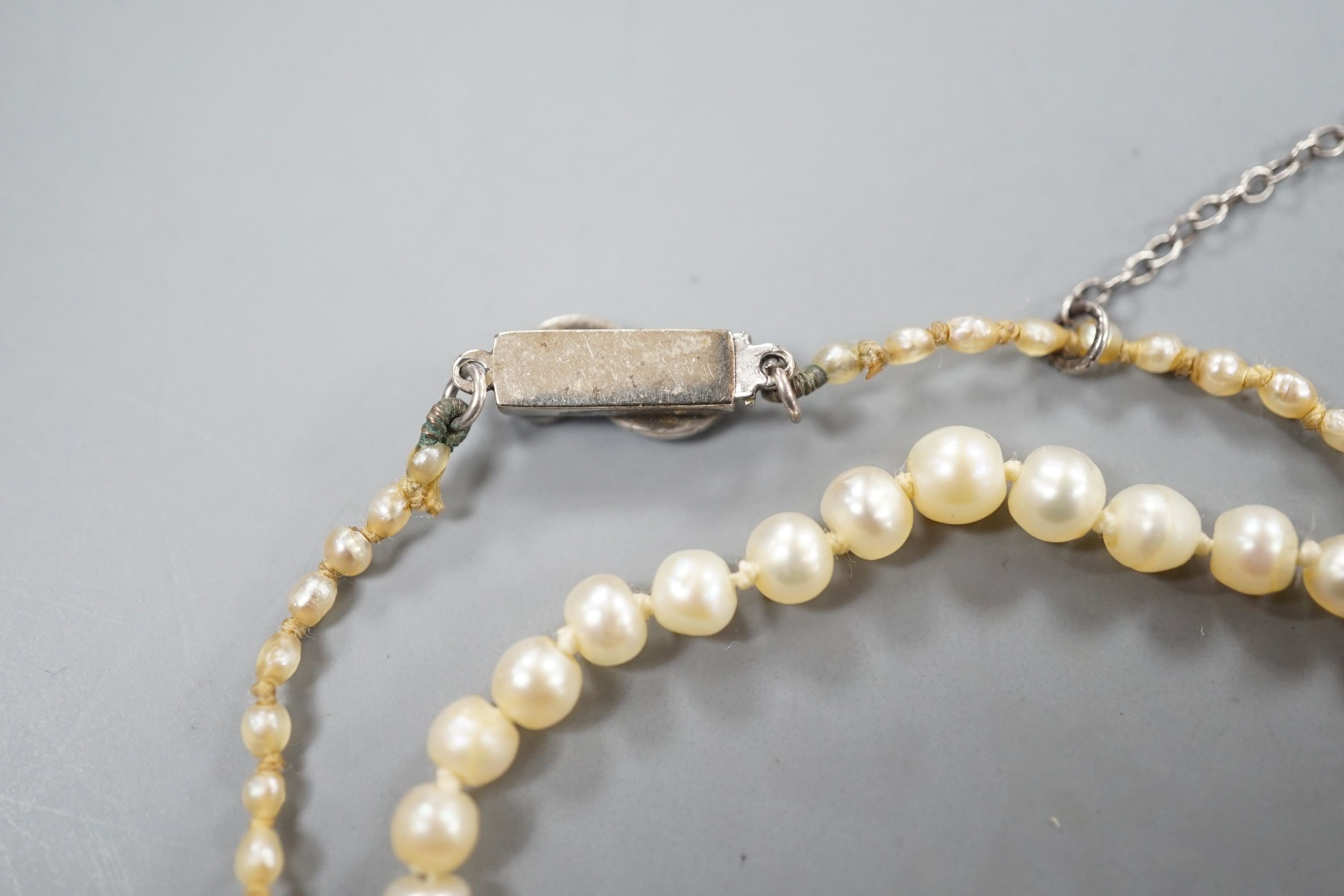 An Edwardian single strand graduated natural saltwater pearl necklace, with sapphire and diamond chip set clasp, 38cm, gross weight 5.7 grams, with accompanying Gem & Pearl Laboratory report dated 1/2/2022.